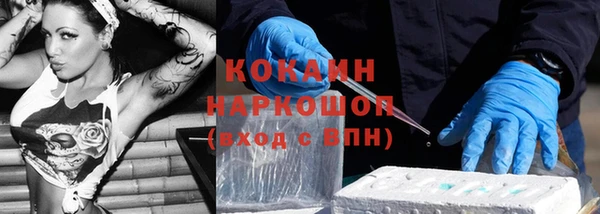 стаф Алексин