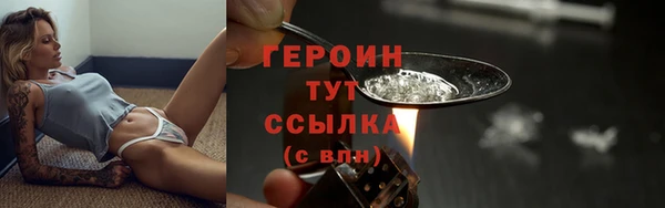 гидра Арсеньев