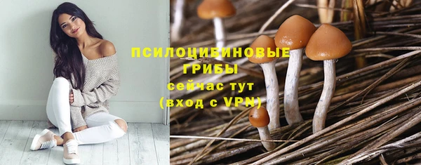 прущие крисы Алексеевка